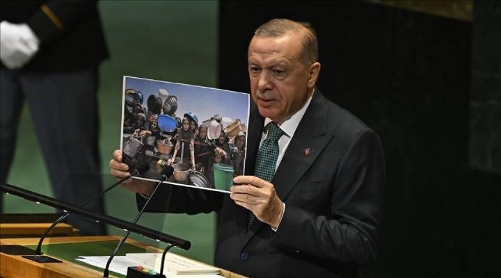 Турция как катализатор «нового мирового порядка» в тени геноцида в Газе